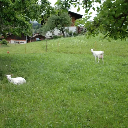 Cosy Ground Floor Apartment With Privat Terrace And Great Views Appartamento Scharnachtal