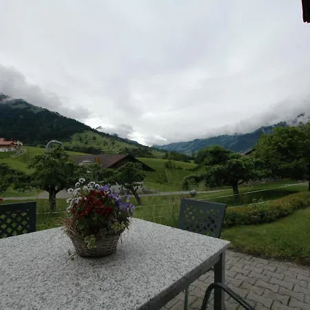 Appartement Cosy Ground Floor Apartment With Privat Terrace And Great Views Scharnachtal